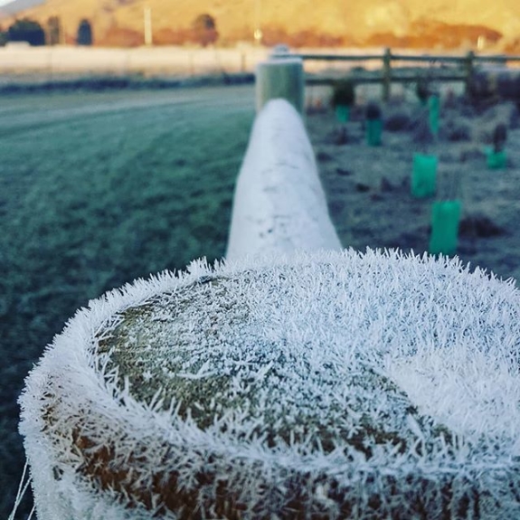 Frozen fences …I think we’ll need more firewood for the winter!! Welcoming tourists back to stay in our Voyager Cabin Spring 2020